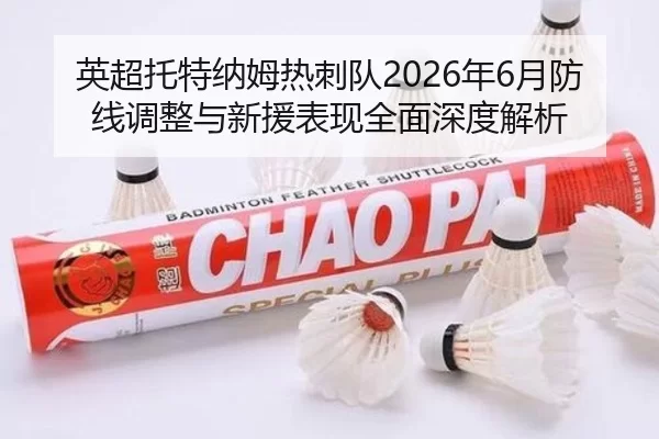 英超托特纳姆热刺队2026年6月防线调整与新援表现全面深度解析